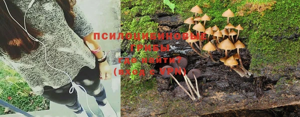 соль курить ск Абаза