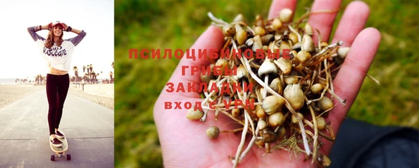 бутират Алзамай